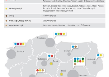 Czy e-markety przyjmą się w Polsce?