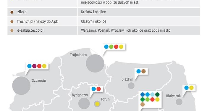 Czy e-markety przyjmą się w Polsce?